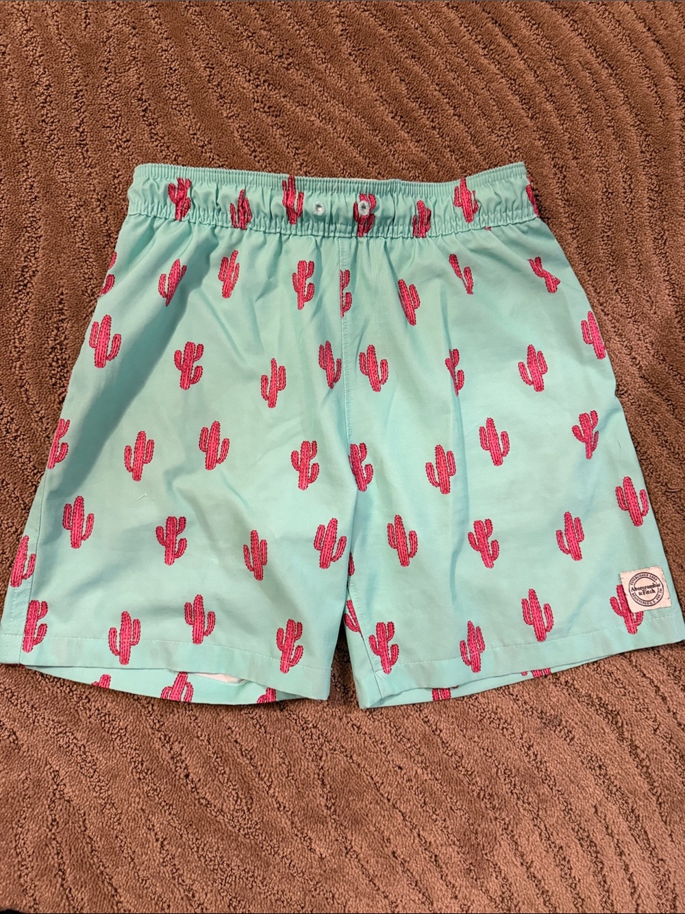 Abercrombie & Fitch Mint Swim Trunks with Pink Cactus Print